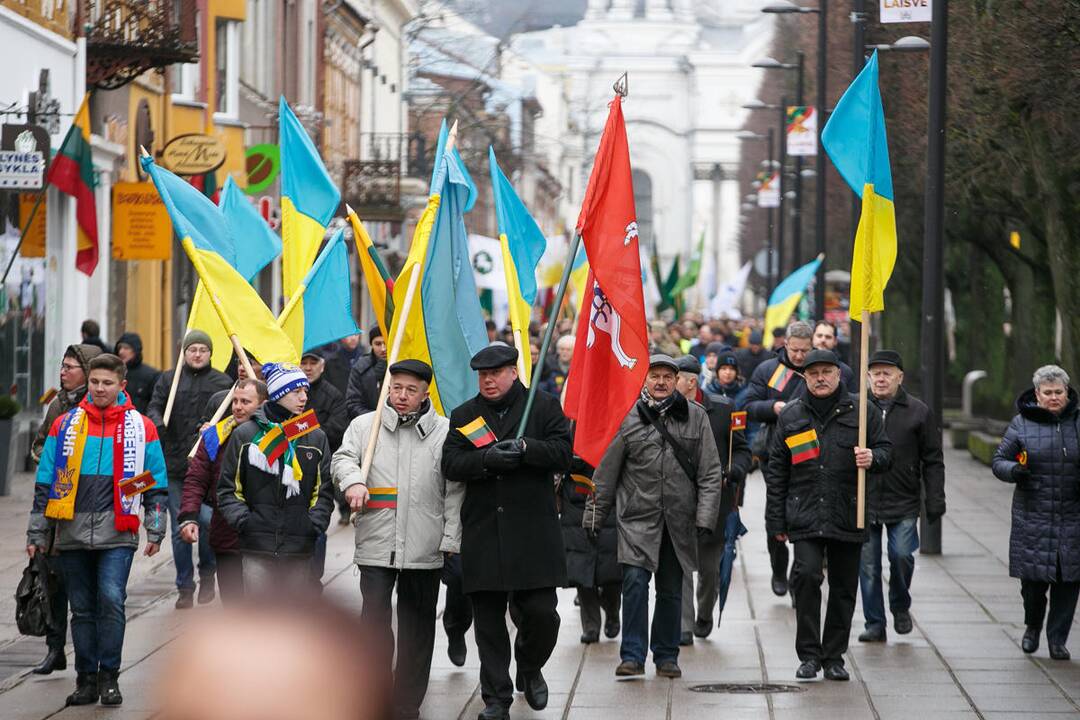 Jaunimo ir visuomeninių organizacijų eisena