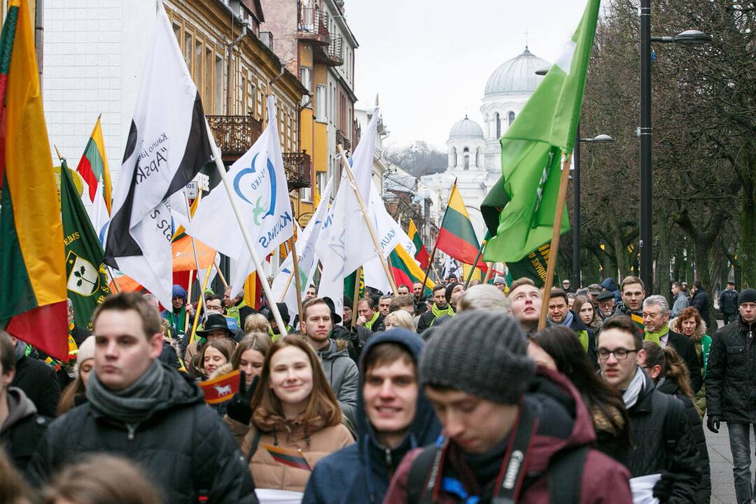 Jaunimo ir visuomeninių organizacijų eisena