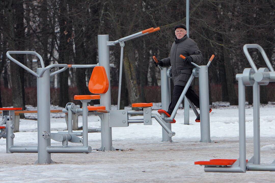 Kauno parkai žiemą