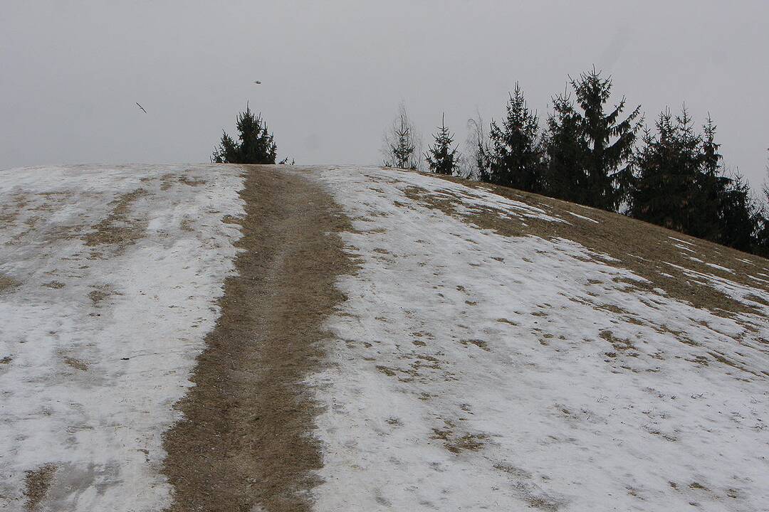 Kauno parkai žiemą