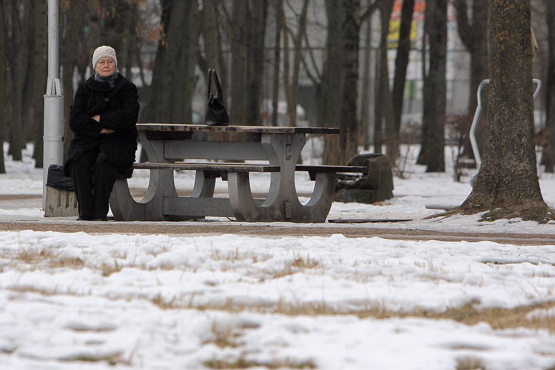 Kauno parkai žiemą