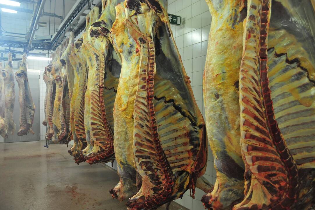 Dalį Lietuvos įmonių gamybos užsimojo perkelti į Rytus