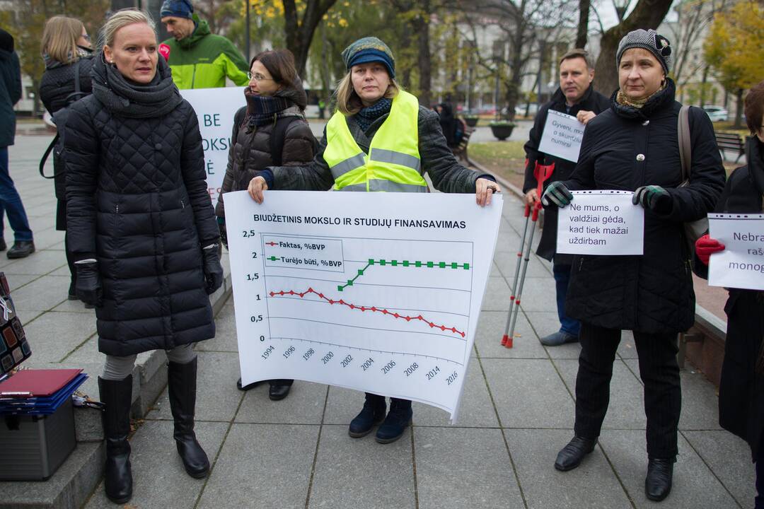 Mokslininkai surengė piketą dėl mažų atlyginimų