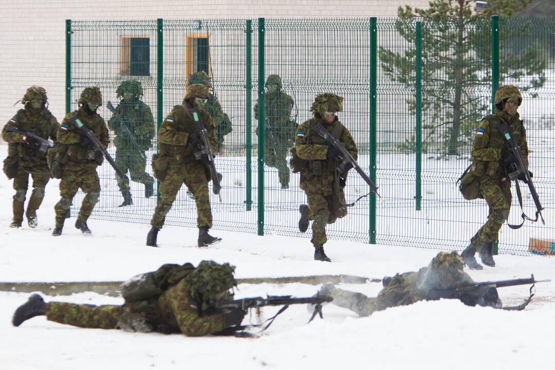 Prezidentė stebėjo pratybas „Geležinis kardas“