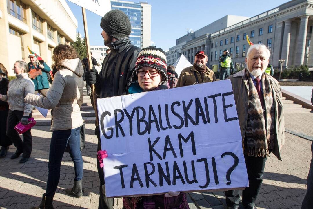 Nepriklausomybės aikštėje Vilniuje mitingavo referendumą palaikantys piliečiai