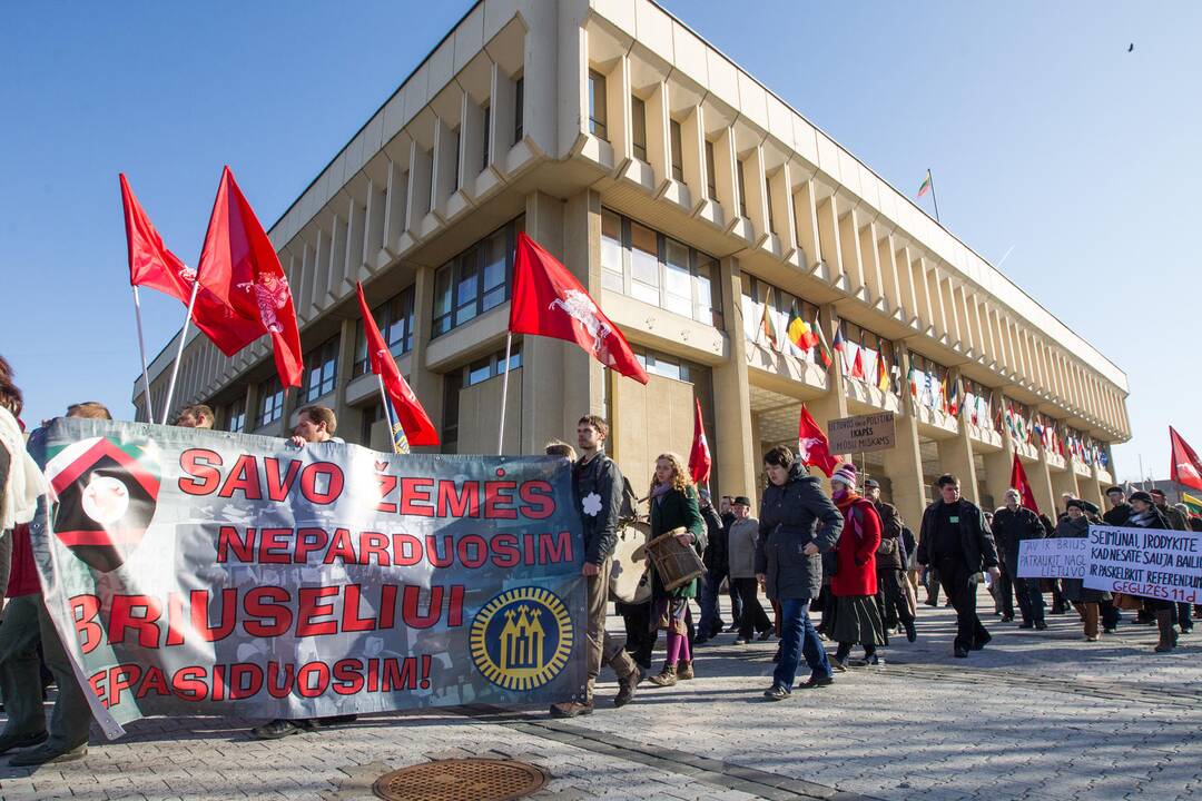 Nepriklausomybės aikštėje Vilniuje mitingavo referendumą palaikantys piliečiai