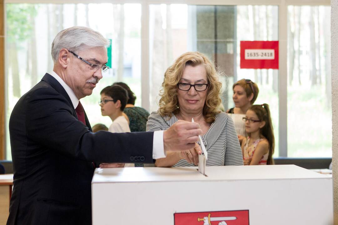 Politologai paaiškino, kas pakišo koją Z. Balčyčiui