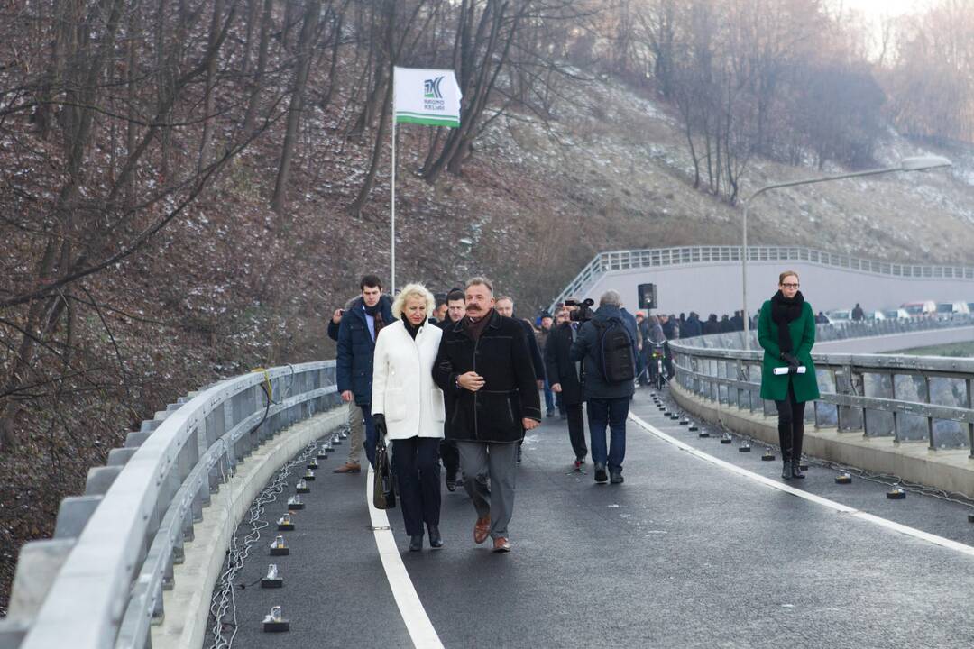 Geležinio vilko estakada Vilniuje