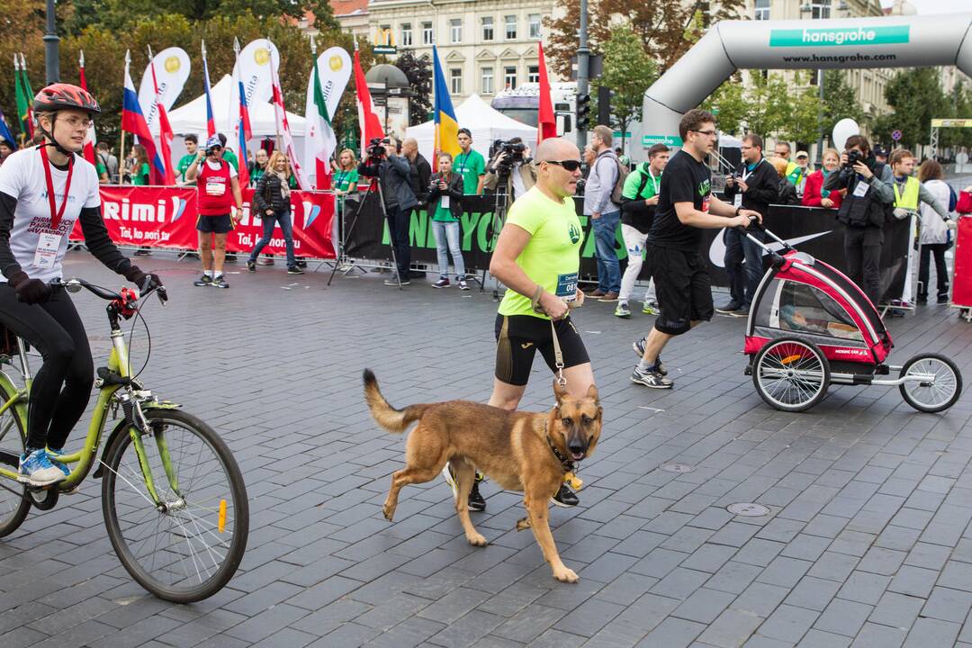 Vilniaus maratono tradicinis bėgimas