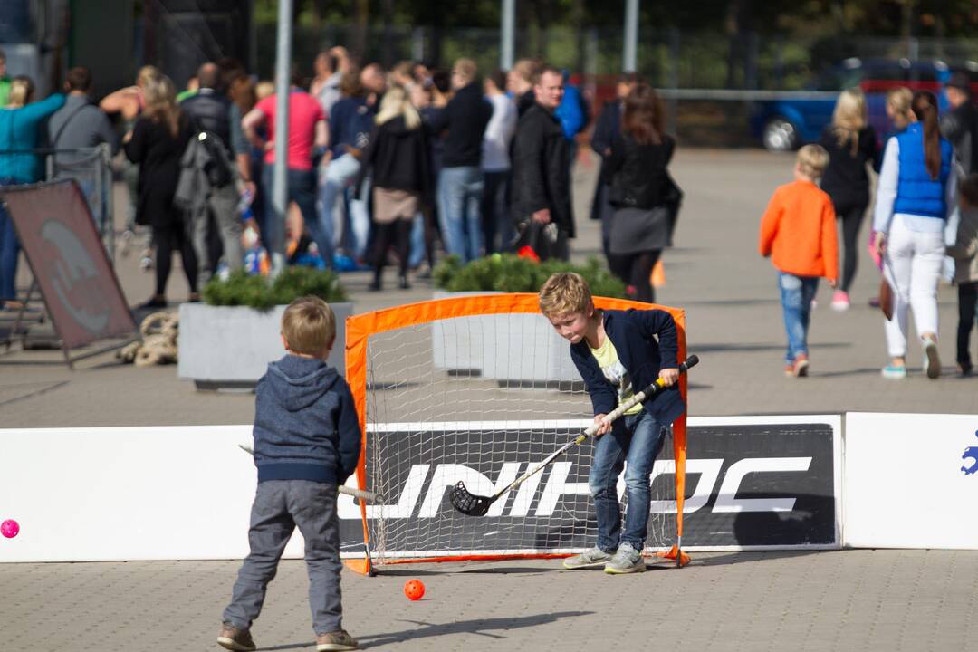 Vilniaus sporto festivalis 2015