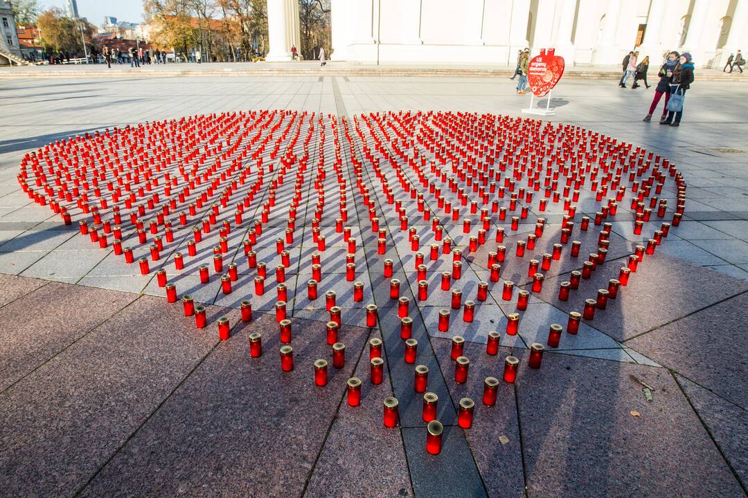 Katedros aikštėje liepsnojo žvakutės už donorus