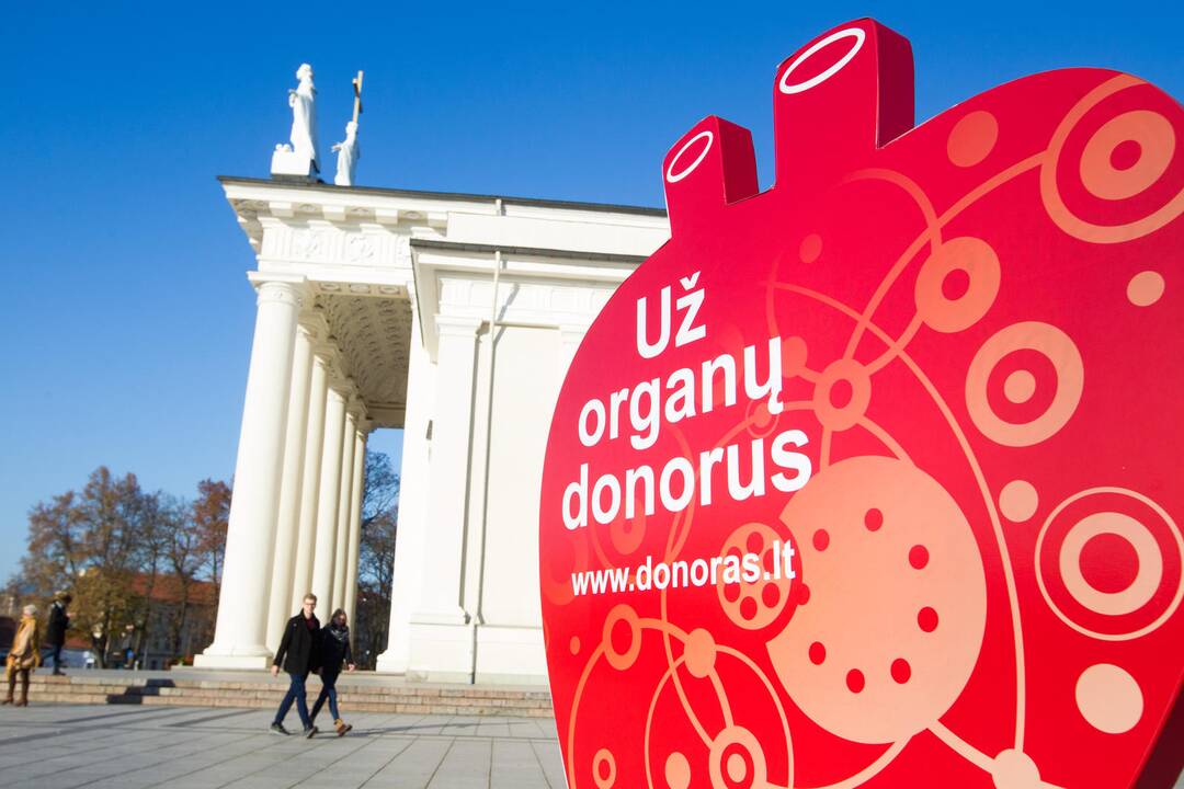 Katedros aikštėje liepsnojo žvakutės už donorus