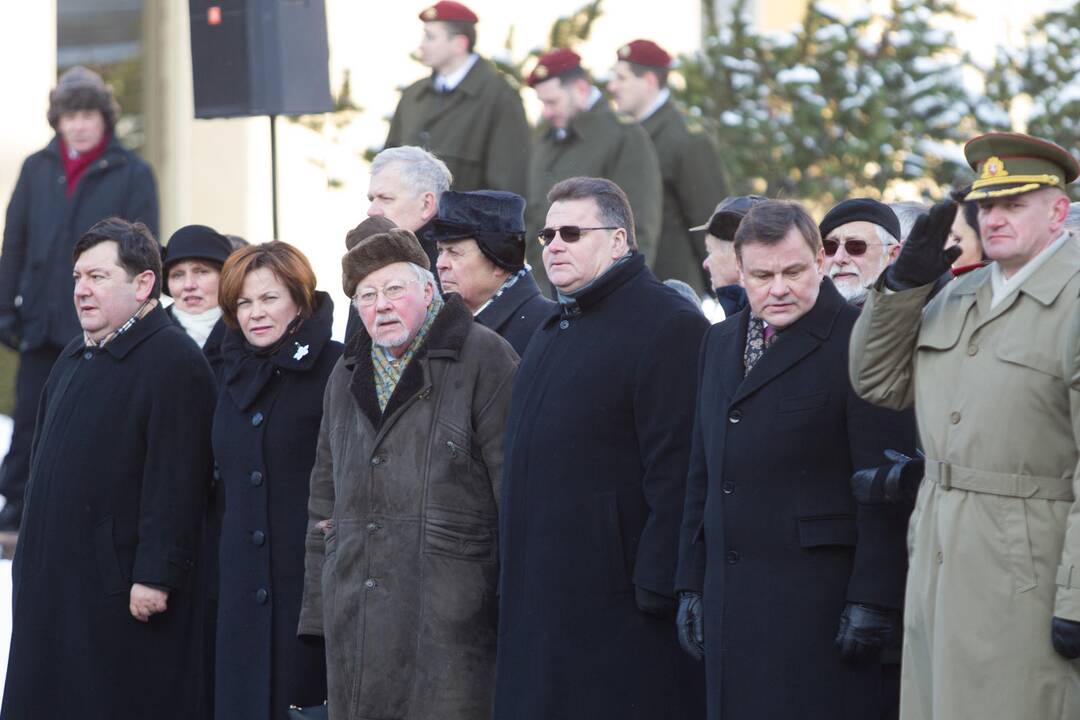 Lietuvoje minimas savanorių pajėgų 25-metis