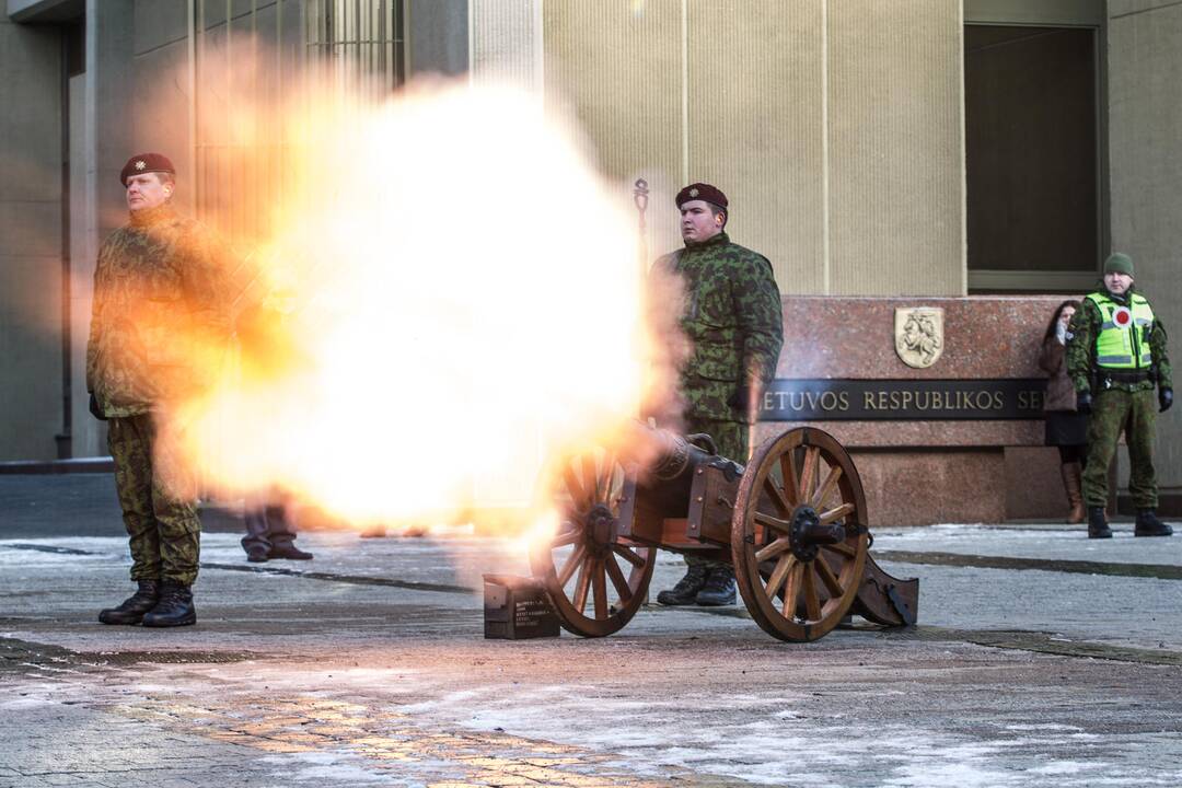 Lietuvoje minimas savanorių pajėgų 25-metis