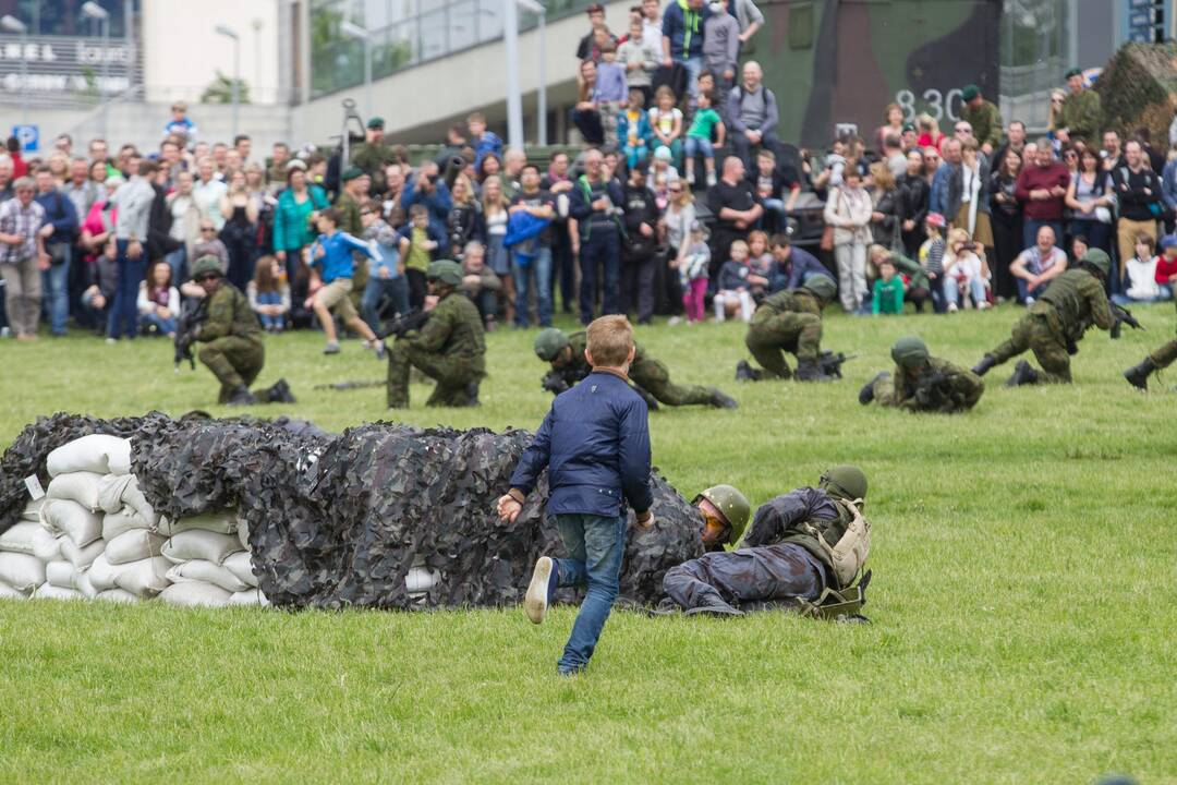 Lietuvos kariuomenės ir visuomenės vienybės diena sostinėje