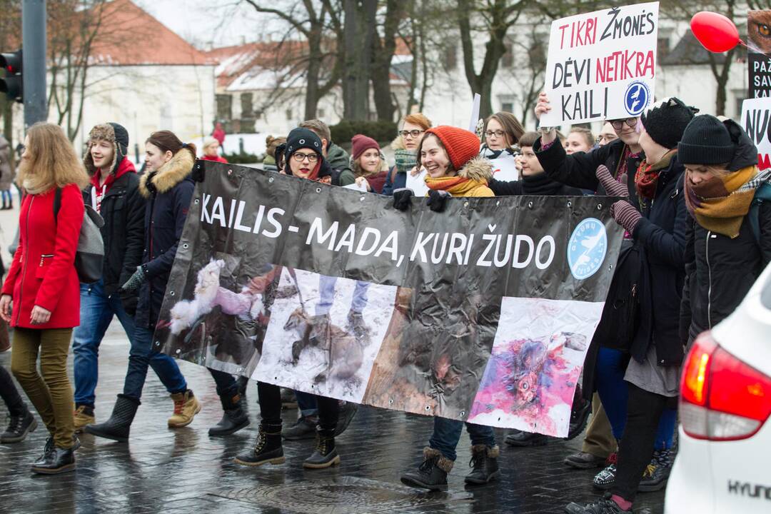 Pirmosios Lietuvoje eitynės už gyvūnus