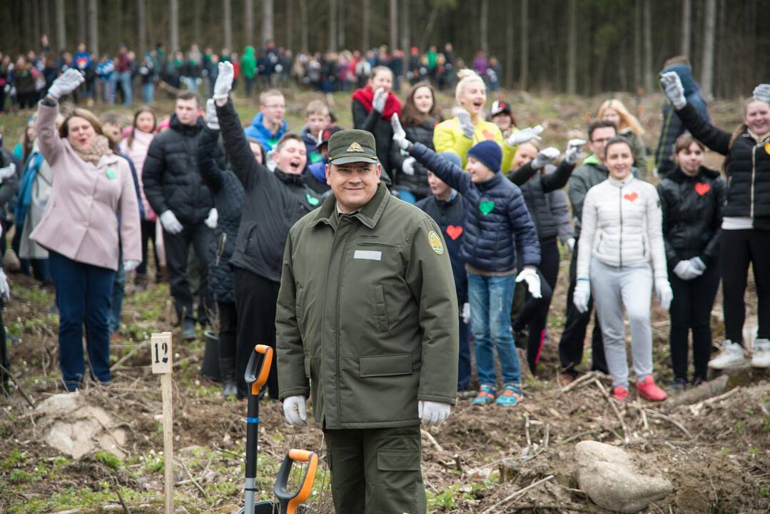 Ąžuolų giraitės „Izraelita” sodinimas