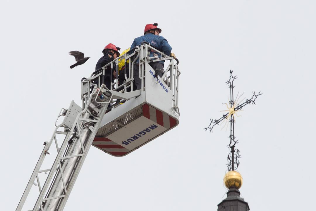 Ugniagesių renginys „Budinti Lietuva“