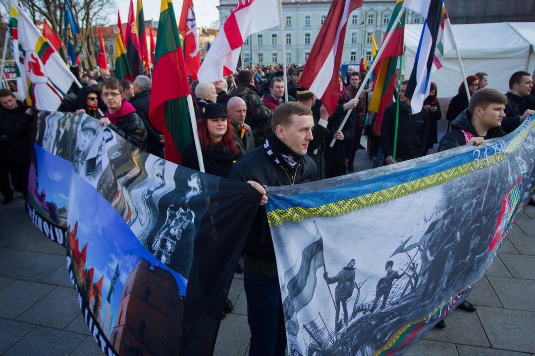 Patriotinės eitynės „Tėvynei“ sostinės Gedimino prospektu