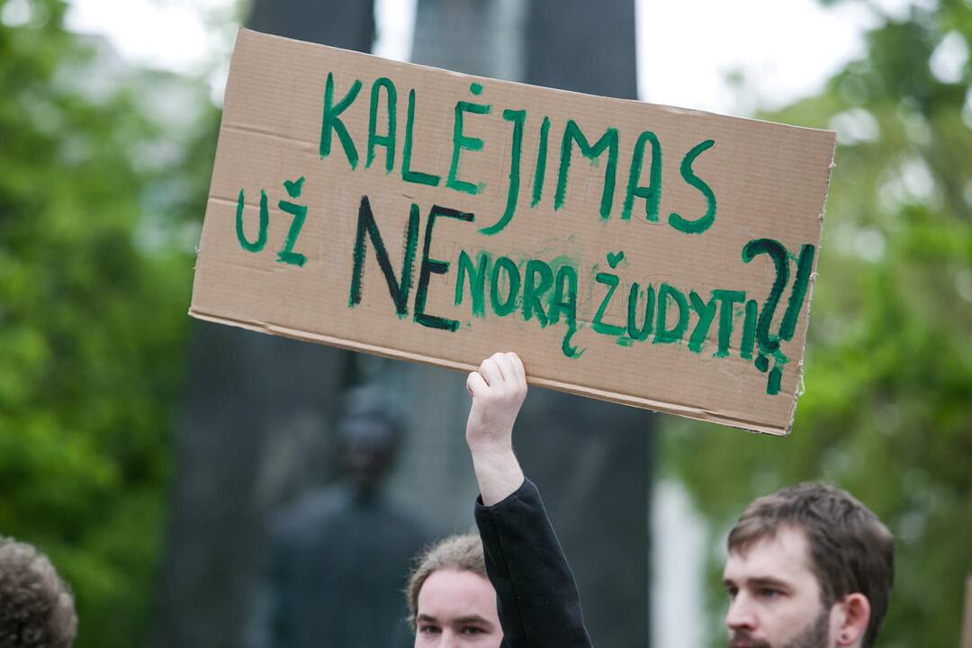 Nepritariančių šauktinių kariuomenės grąžinimui protestas