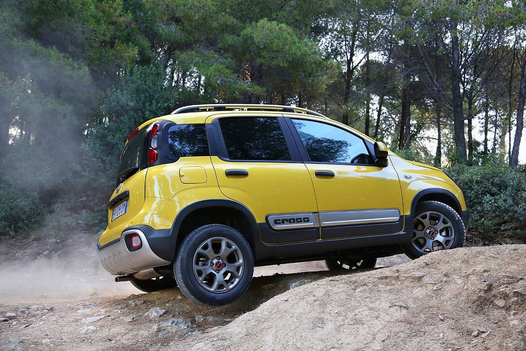 Fiat 500 ir Fiat Panda
