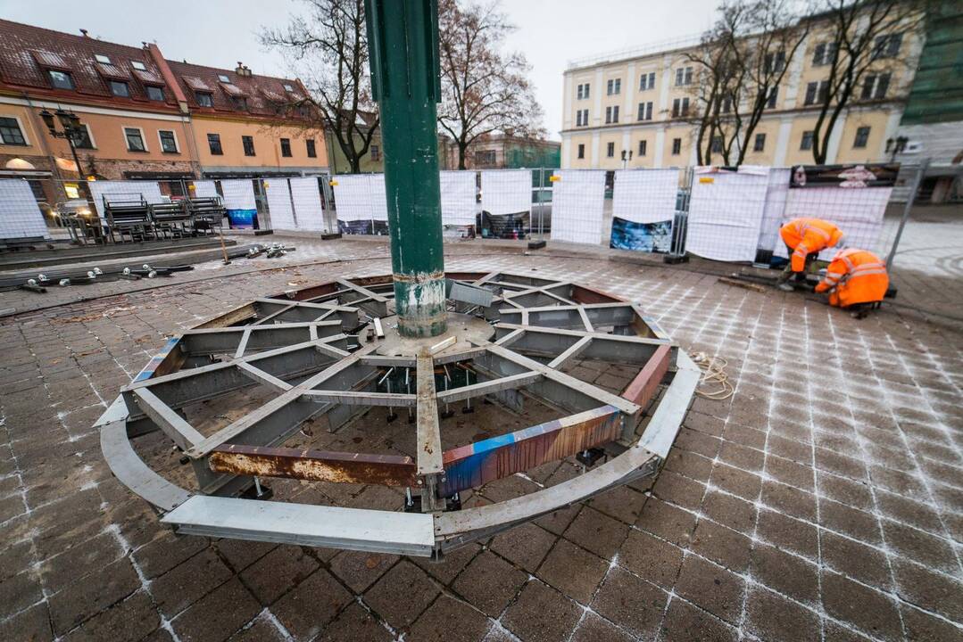 Kalėdų eglutė jau dygsta