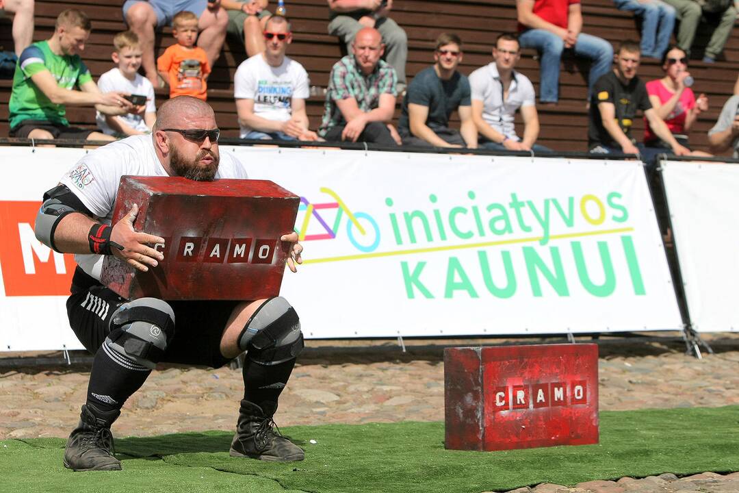 Pasaulio svorių kėlimo į viršų čempionatas