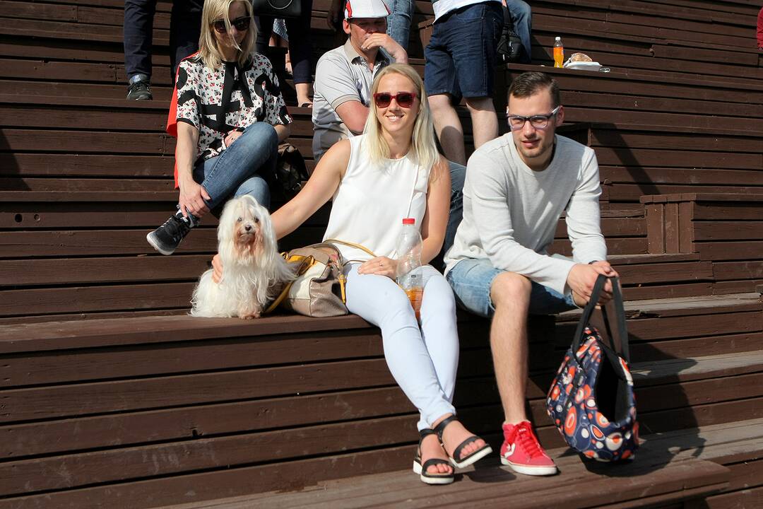 Pasaulio svorių kėlimo į viršų čempionatas
