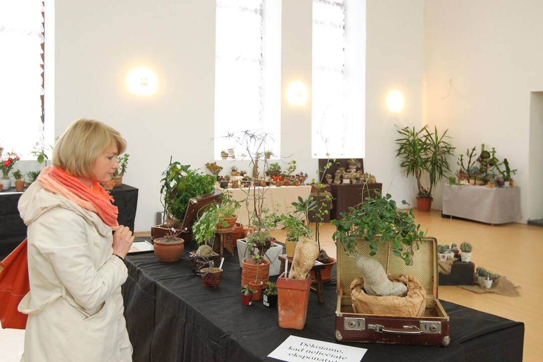 Augalų paroda "Žali horizontai"
