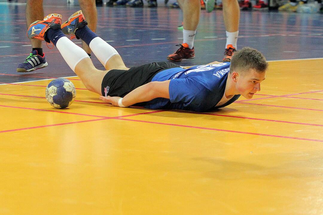 Rankinis: „Granitas-Karys“ – VHC „Šviesa“ 30:26