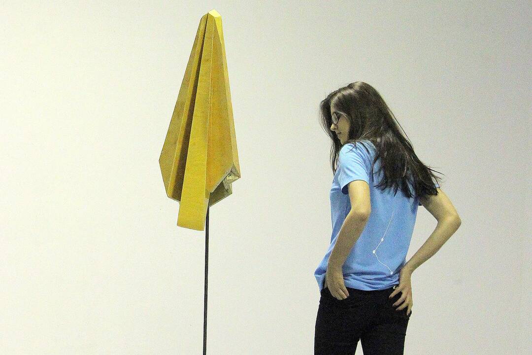 Pasivaikščiojimas po „Gallery Weekend Kaunas 2016“