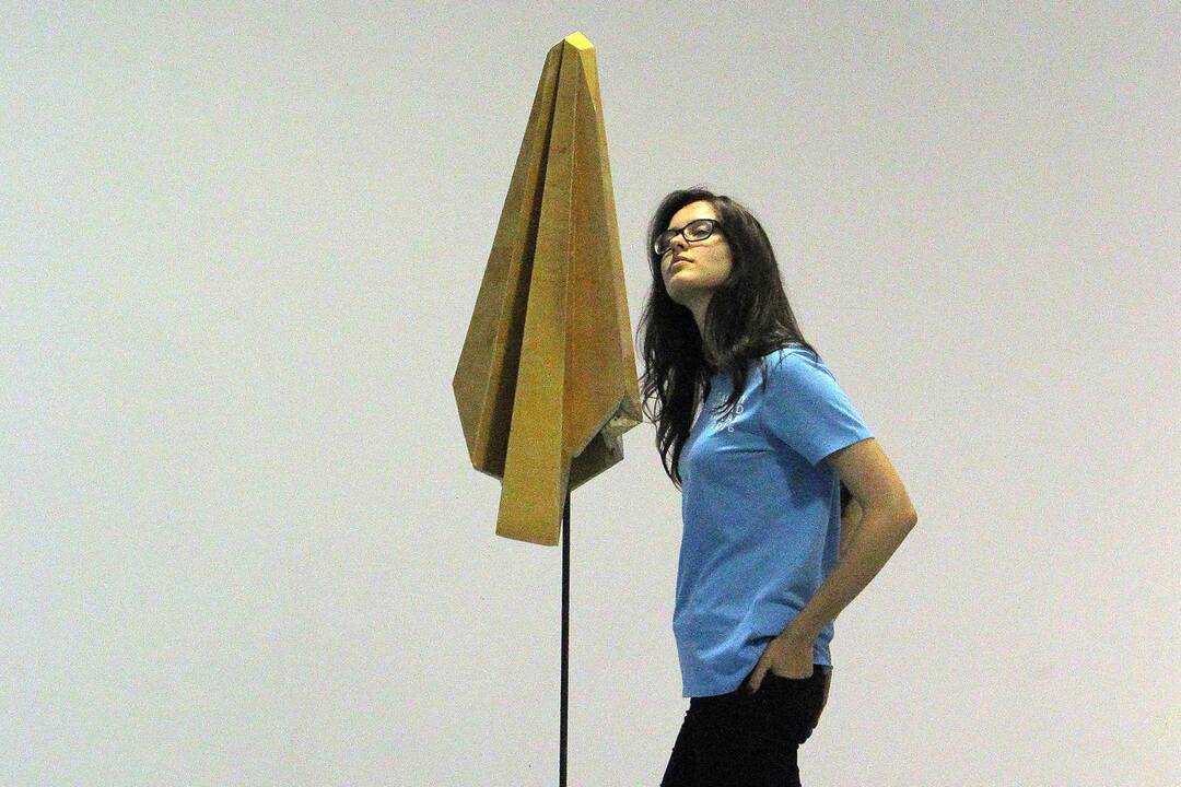 Pasivaikščiojimas po „Gallery Weekend Kaunas 2016“