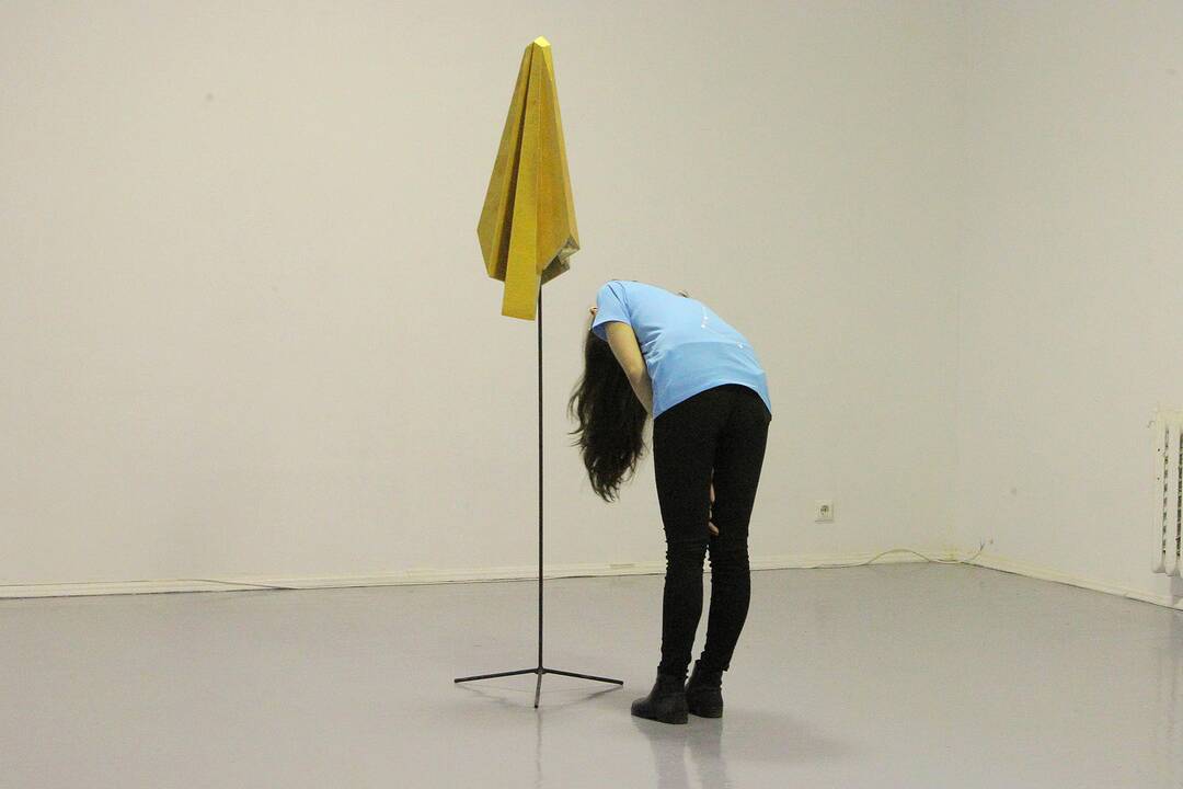 Pasivaikščiojimas po „Gallery Weekend Kaunas 2016“