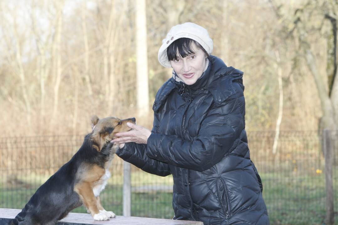 Išrinko: vieną finalininkę išrinko ankstesnių metų laimėtojos. Renginio mecenato bendrovės "Mūsų laikas" vadovas Rimantas Cibauskas jų sprendimui pritarė, tačiau šiuose rinkimuose balso teisės neturėjo.