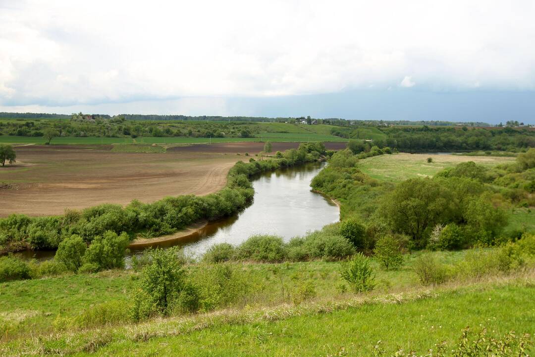 Babtai – tarp Nevėžio ir autostrados