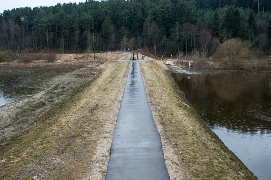 Užteršto Nemuno afera