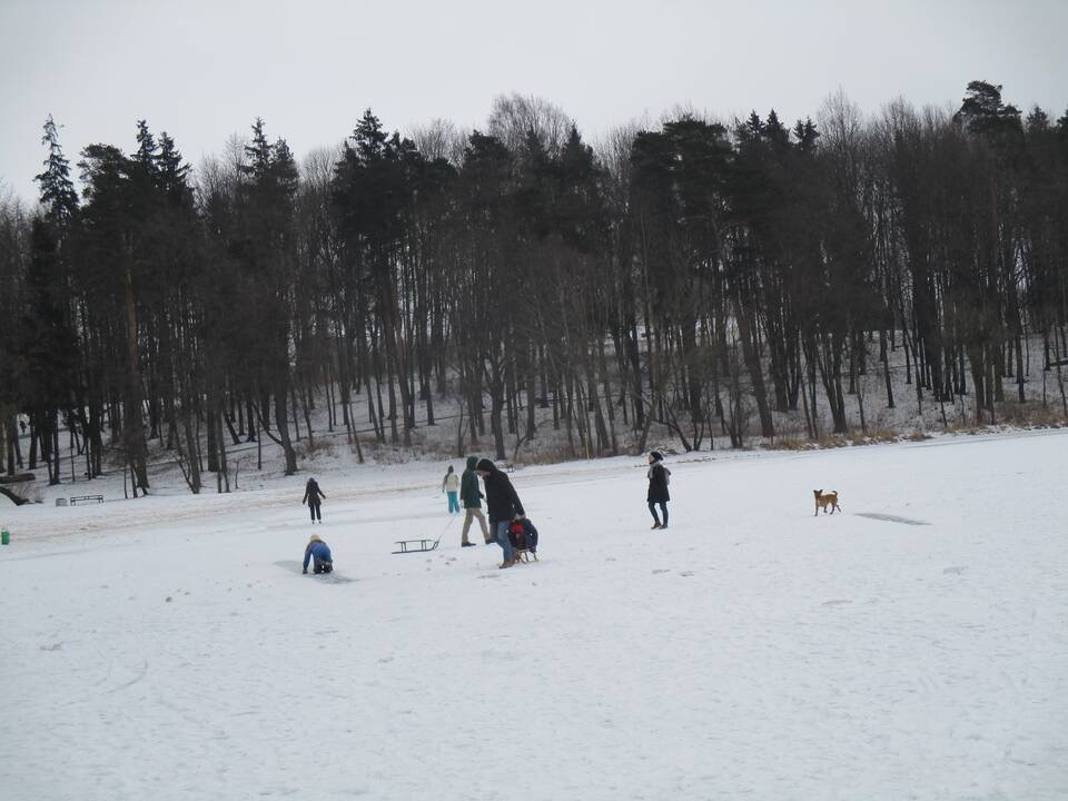 Pramogos ant Kauno marių ledo