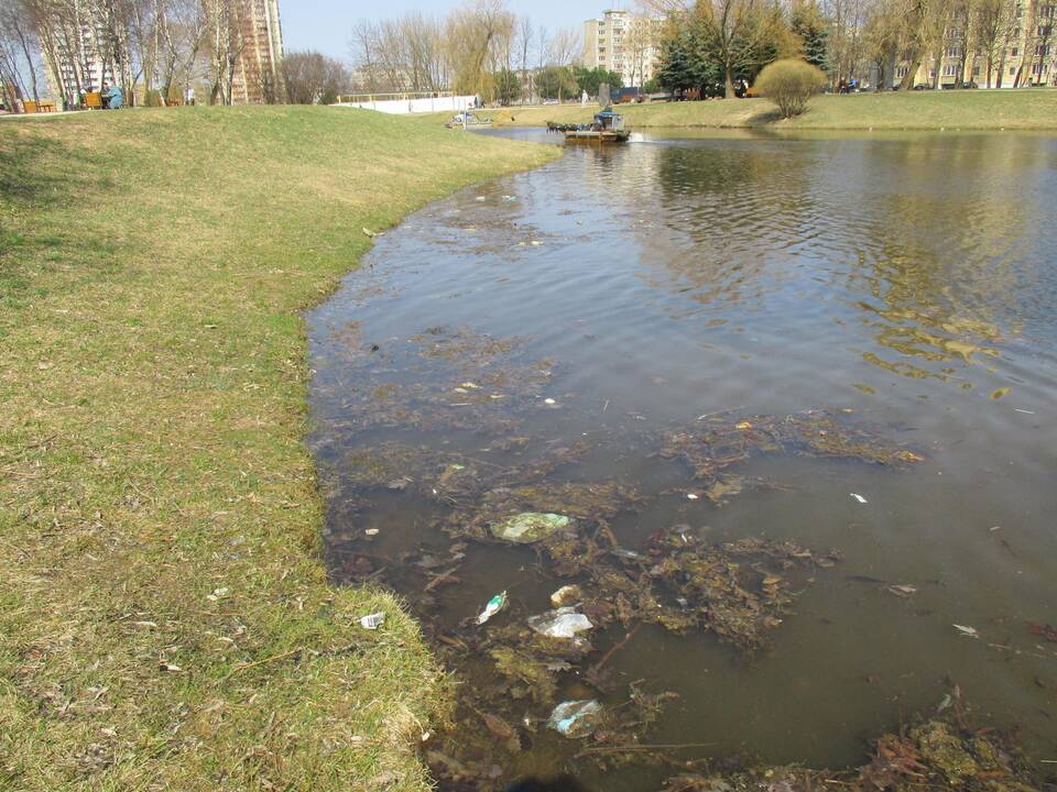 Valomas Kalniečių parko tvenkinys