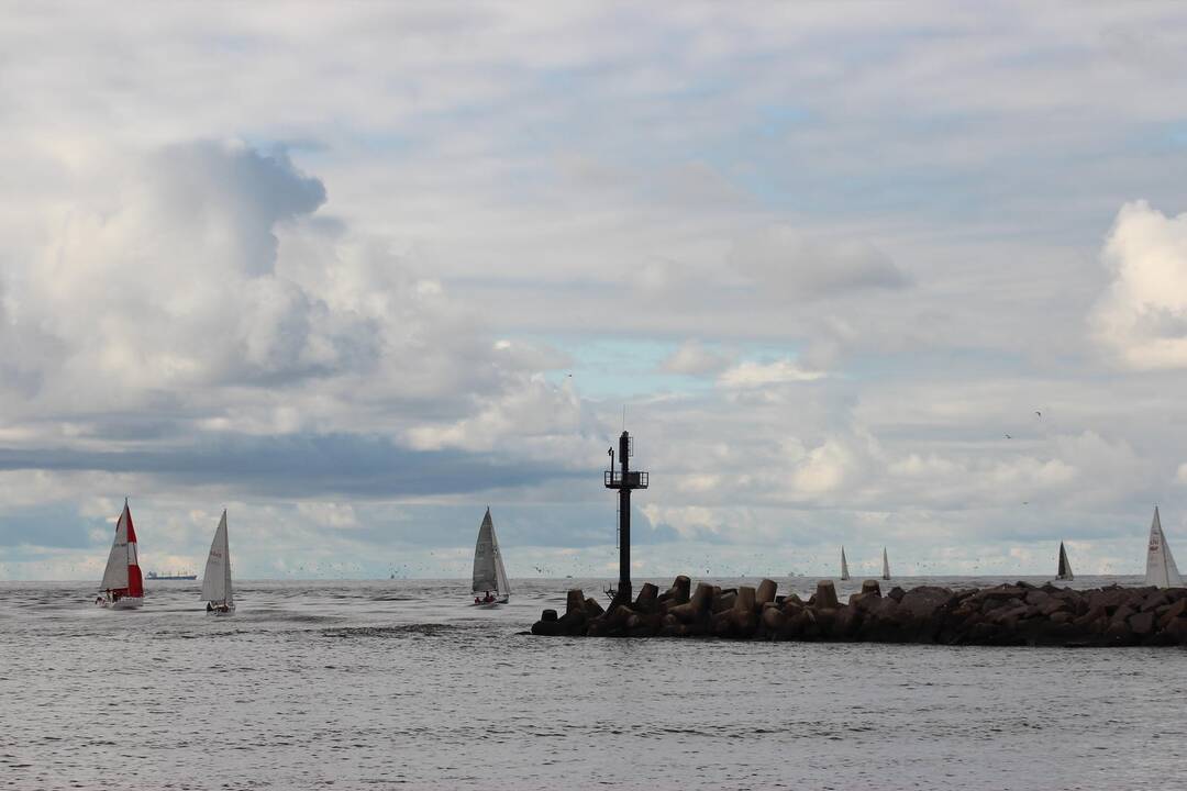 2015-ųjų vasarą Klaipėdoje - burlaivių regatos „The Tall Ships Regatta“ startas