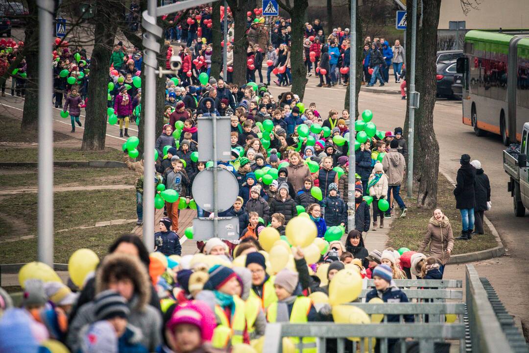 Rekordinio ilgio Lietuvos vėliava iš balionų