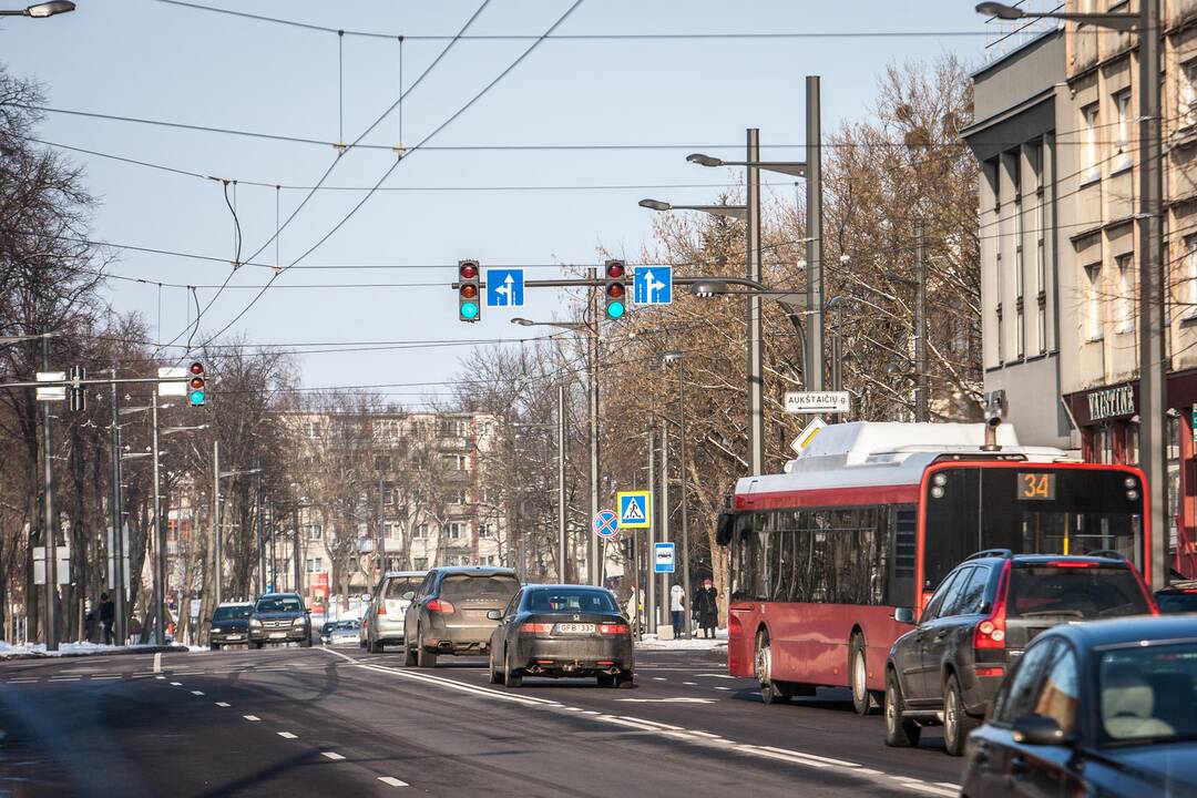 Pasivaikščiojimas K. Petrausko gatve