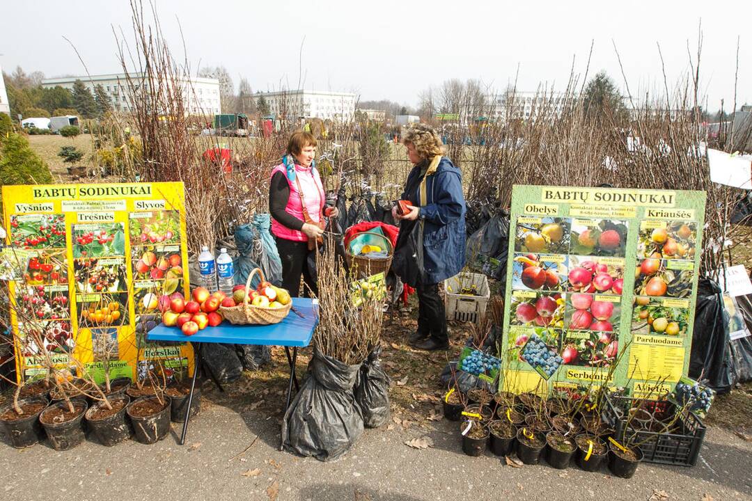 Paroda "Ką pasėsi 2015"