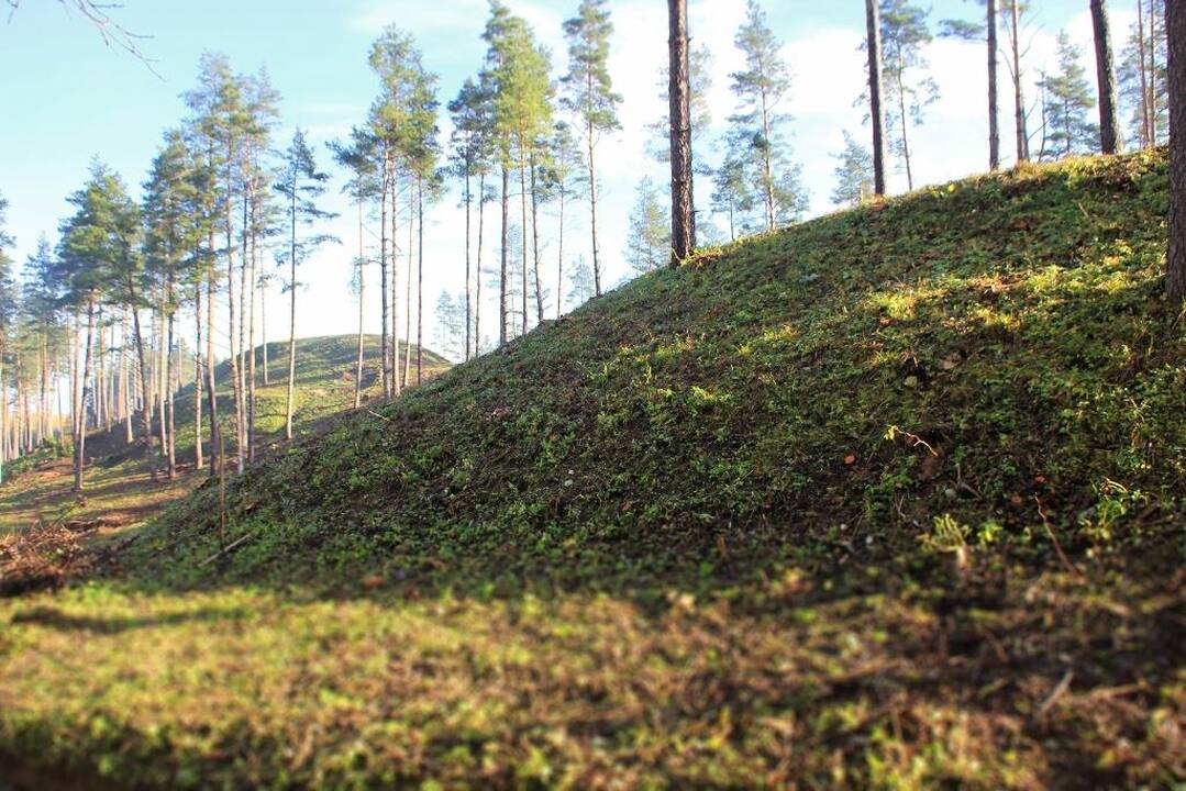 Parkų lankytojai jau įsigijo per 5,5 tūkst. savanoriškų bilietų