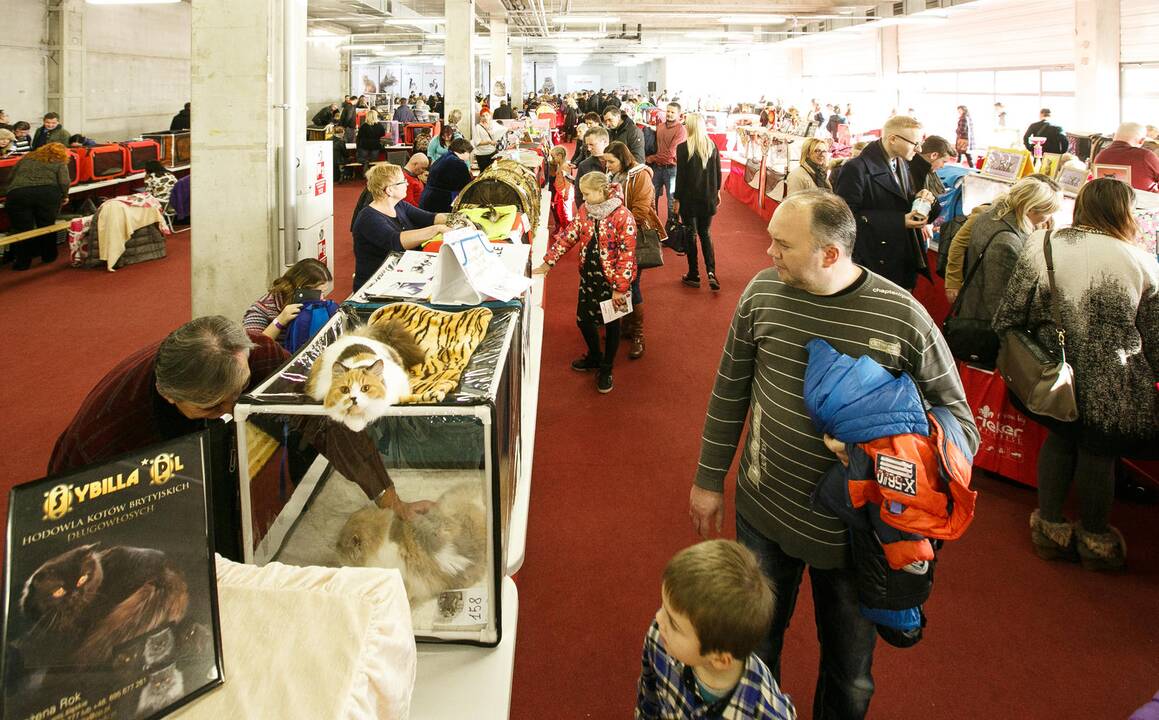 Kačių paroda "Megos" prekybos centre