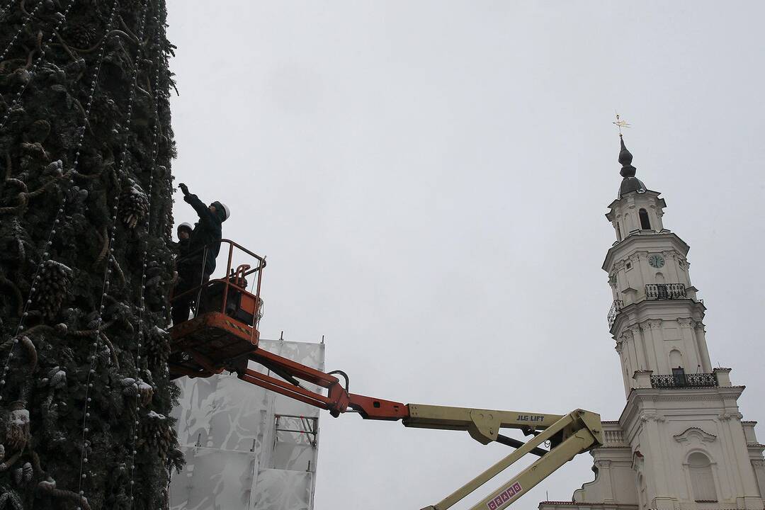 Rengiamasi Kauno Kalėdų eglės įžiebimui