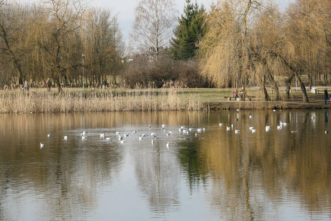 Kalniečių parkas