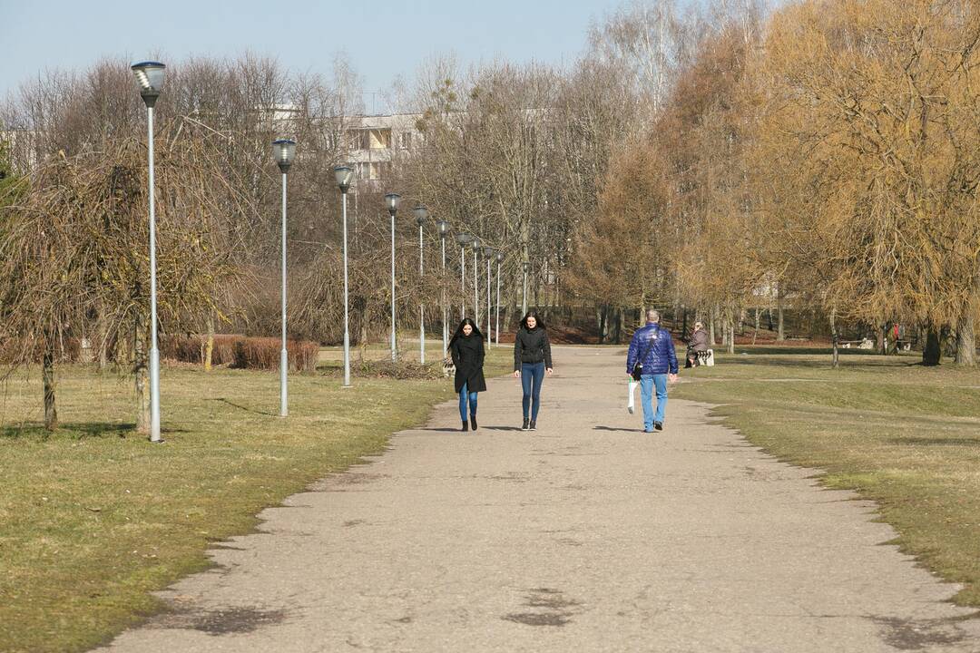 Kalniečių parkas