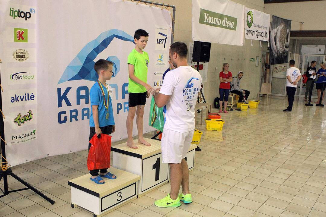 „Kaunas Grand Prix 2017“