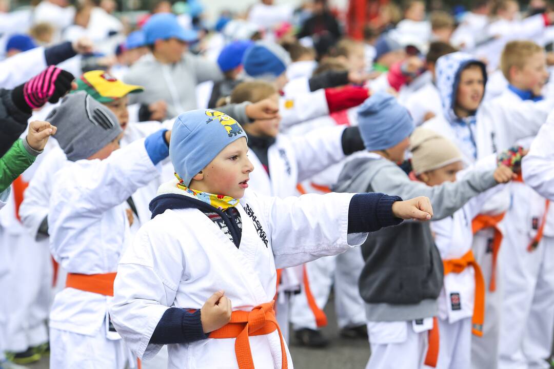 Karatė egzaminas Palangos oro uoste