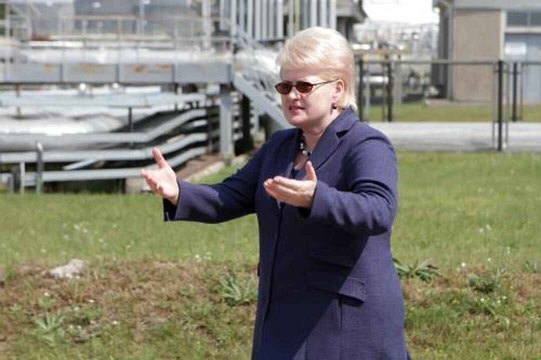 D.Grybauskaitės vizitų sąraše – ir Belgijos karalius, ir JAV prezidentas.